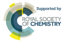 supported by royal society of chemistry